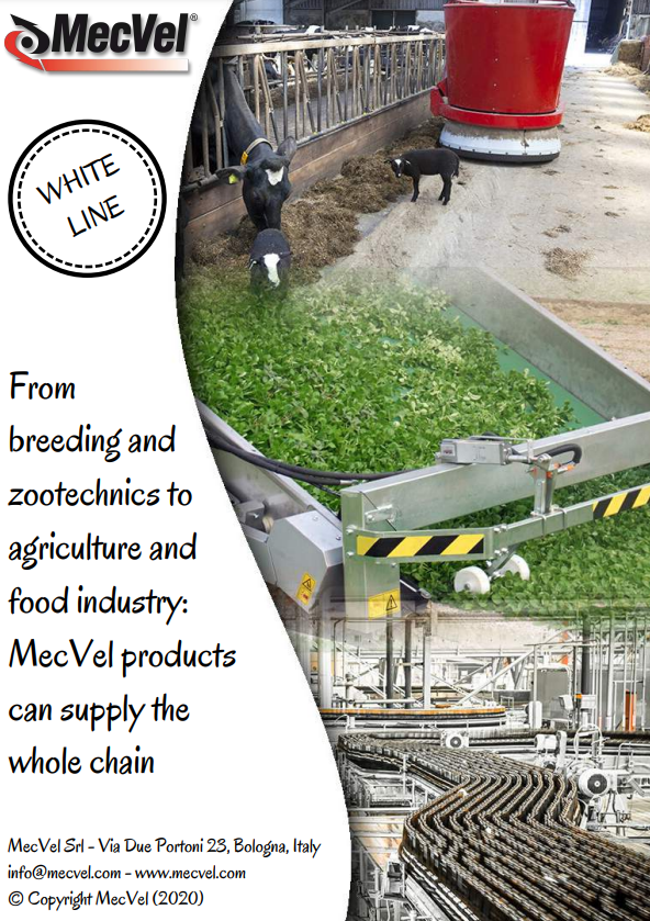 Merkez Motor | Mecvel
