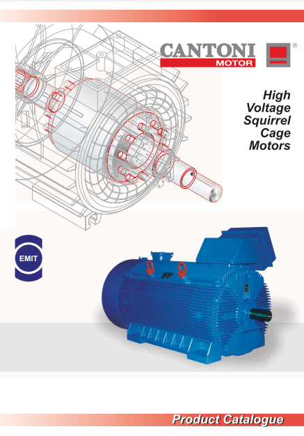 Merkez Motor | Cantoni Motor