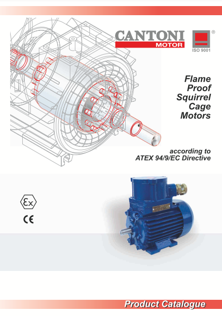 Merkez Motor | Cantoni Motor