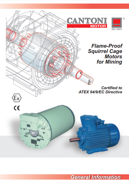 Merkez Motor | Cantoni Motor